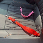 SafeRide Pet Seat Belt