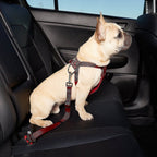 SafeRide Pet Seat Belt