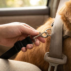 SafeRide Pet Seat Belt