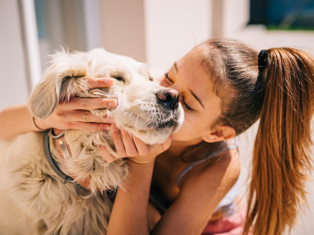Stop battling pet care. Start enjoying it.
