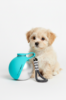 Fluffy Dog with Bottle