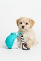 Fluffy Dog with Bottle