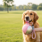 Pink Bottle with Golden Retriever